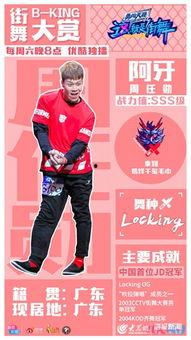 选手资料卡,探寻赛场上的璀璨明星