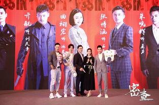 密查 历史背景,揭秘抗战时期隐蔽战线的传奇故事